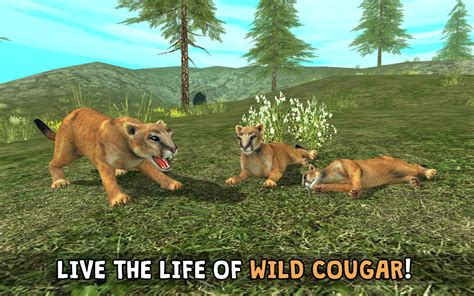 crazy games 3d|cougar simulator 3d crazy games.
